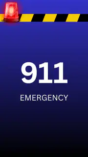Fake Police Call screenshot 1