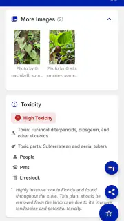 FFL Plants & Pollinators screenshot 5
