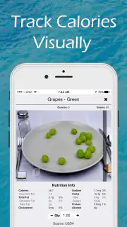Figwee Visual Food Diary screenshot 1