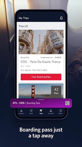Fly Delta screenshot