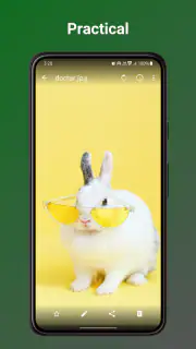 Fossify Gallery screenshot 2