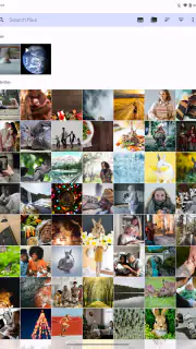Fossify Gallery screenshot 8