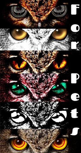 FoxEyes - Change Eye Color screenshot