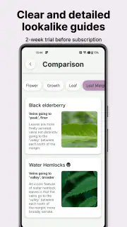Gather: The Foraging App screenshot 2