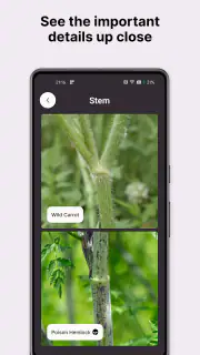 Gather: The Foraging App screenshot 3