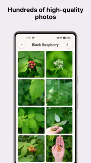 Gather: The Foraging App screenshot 6