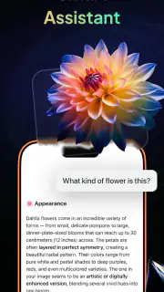 Gendi AI - Ask AI Assistant screenshot 5