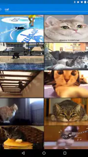 GIF Keyboard by Tenor screenshot 4
