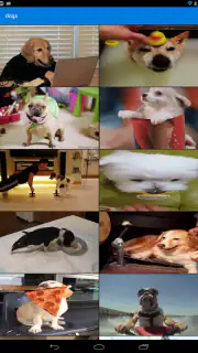 GIF Keyboard by Tenor screenshot 5