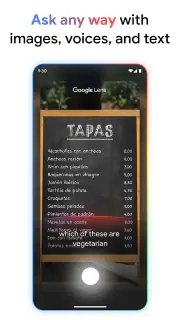 Google screenshot 4