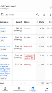 Google Ads screenshot 3