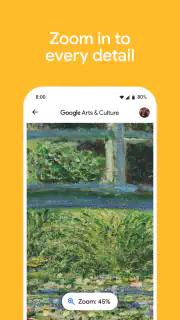 Google Arts & Culture screenshot 4