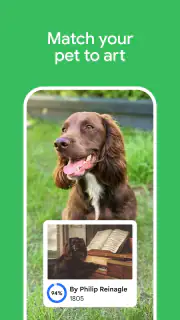 Google Arts & Culture screenshot 5