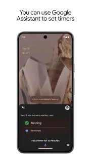 Google Assistant screenshot 1
