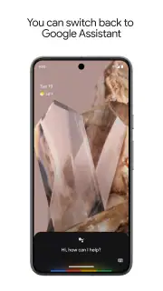 Google Assistant screenshot 6
