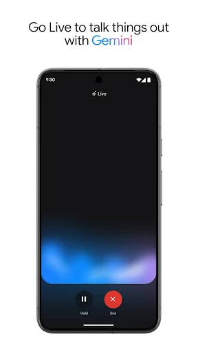 Google Gemini screenshot