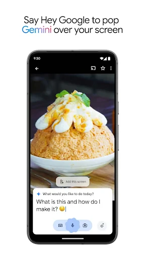Google Gemini screenshot