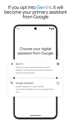 Google Gemini screenshot