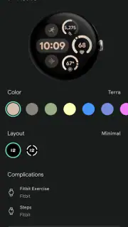 Google Pixel Watch screenshot 4