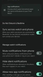 Google Pixel Watch screenshot 6