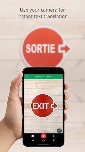 Google Translate screenshot