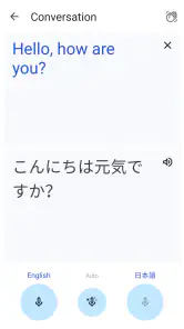 Google Translate screenshot 5