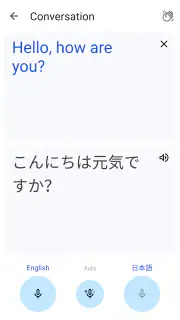 Google Translate screenshot 5