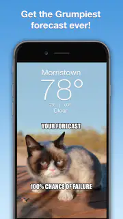 Grumpy Cat Weather screenshot 1