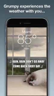 Grumpy Cat Weather screenshot 2