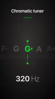Guitar Tuner Pro: Music Tuning screenshot 8