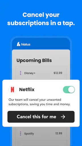 Hiatus: Bill and Money Manager screenshot