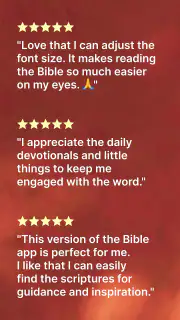 Holy Bible-Large Print screenshot 8