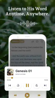 Holy Bible Launcher: KJV+Audio screenshot 2