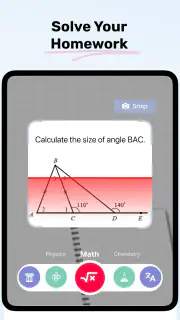 Homework AI - Math & Essay App screenshot 8
