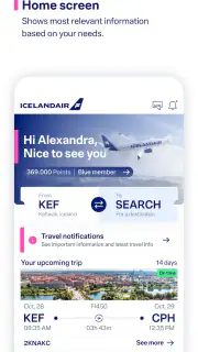 Icelandair screenshot 2