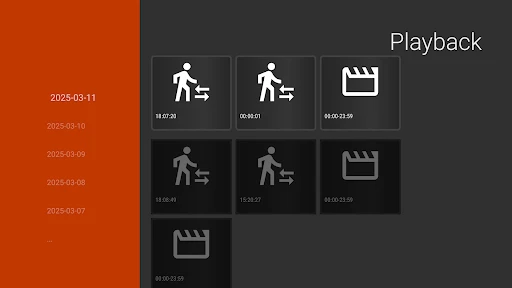 IP Camera Viewer screenshot
