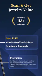 Jewelry Identifier Gem Scanner screenshot 2