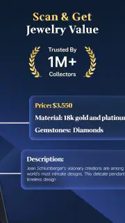 Jewelry Identifier Gem Scanner screenshot 6