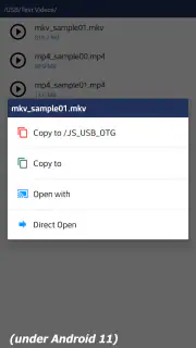 JS USB OTG screenshot 3
