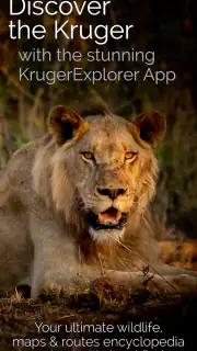 KrugerExplorer screenshot 2