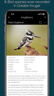KrugerExplorer screenshot 4