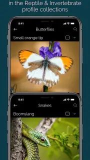 KrugerExplorer screenshot 5
