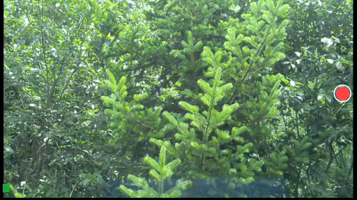 Larix Broadcaster: Live Stream screenshot 7