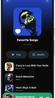 Lark Player:Music Player & MP3 screenshot 3