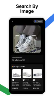Lens AI: Identify Anything screenshot 2