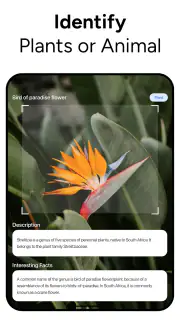 Lens AI & Reverse Image Search screenshot 8