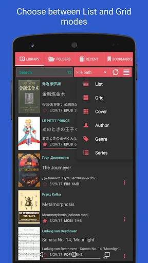 Librera PRO -  Book reader screenshot