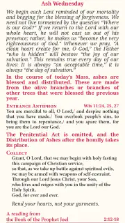 Magnificat Lenten 2025 screenshot 3