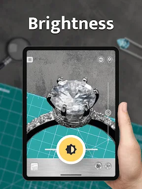 Magnifier Plus with Flashlight screenshot