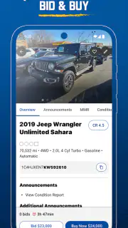 Manheim screenshot 3